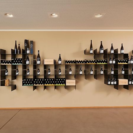 Weingut Klaus Lentsch Apartment Appiano Sulla Strada Del Vino Exterior photo